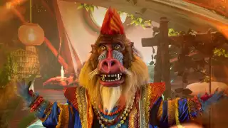 Hoy 27 de octubre se dio a conocer a los eliminados de '¿Quién es la máscara?'.