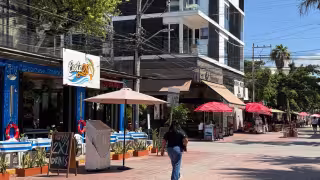 Meseros apenas ganan 50 pesos por propinas en la Quinta Avenida