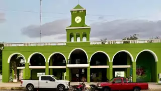  Detectan abejas en el  parque, casas y el Palacio Municipal de Telchac Pueblo