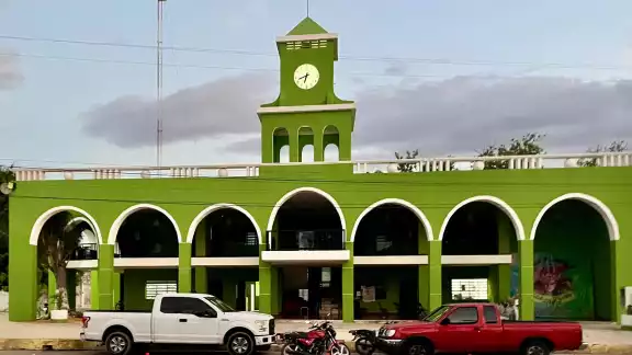 Protección Civil se da la tarea de combatir enjambres que estaban en predios, el parque y el Palacio Protección Civil se da la tarea de combatir enjambres que estaban en predios, el parque y el Palacio