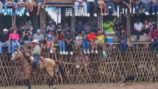 El autor de una foto que causó indignación en redes descartó que un perro haya sido lastimado