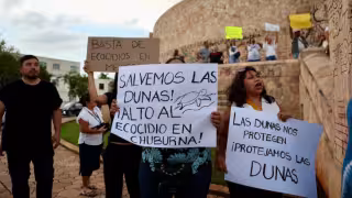Colectivos demandan a Profepa acelerar la investigación y sancionar a los responsables del desmonte del complejo Las Dunas en Chuburná