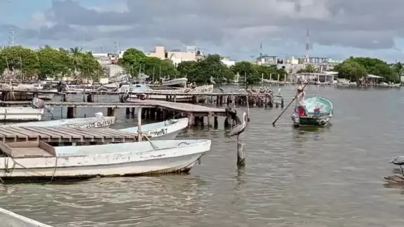Azolve paraliza actividades de cooperativas pesqueras en Carmen; urgen intervención de CONAPESCA