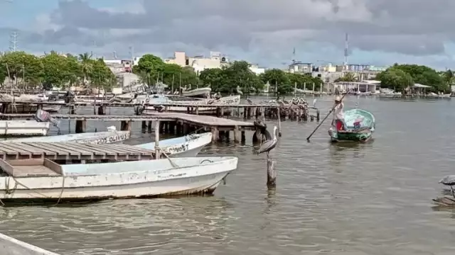 Azolve paraliza actividades de cooperativas pesqueras en Carmen; urgen intervención de CONAPESCA