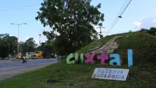 Reserva Ecológica Cuxtal suma 20 denuncias por daños ambientales; expansión inmobiliaria y perros ferales, entre las amenazas