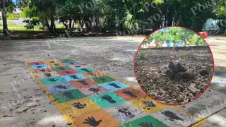 Amas de casa pidieron a dueños de mascotas responsabilizarse de sus animales y a las autoridades exigieron contenedores