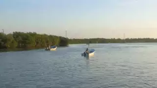 Los isleños advirtieron que no permitirán que se lleven las pocas especies que quedan