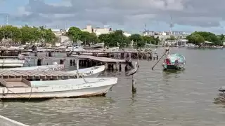 Azolve paraliza actividades de cooperativas pesqueras en Carmen; urgen intervención de CONAPESCA