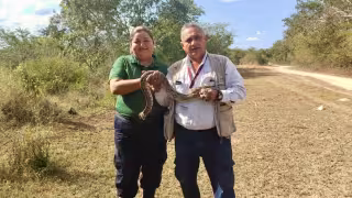 Autoridades reubican fauna protegida recuperada en predios de Kanasín