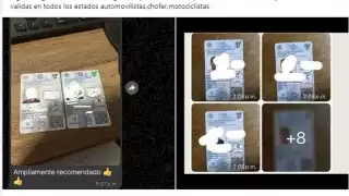 Advierten sobre fraudes de licencias de conducir piratas en Playan del Carmen