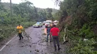 Paso de Chris deja múltiples afectaciones en Veracruz