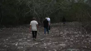   Denuncian invasión y ecocidio en Kinchil: habitantes acusan la destrucción de selva virgen por parte de inmobiliarias 