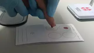 Muestras de genética en Quintana Roo por petición de colectivos de búsqueda