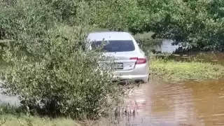 Conductor de un auto deportivo cae dentro de la ciénega en Chicxulub