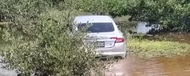El conductor del auto deportivo perdió el control hasta caer a la ciénega