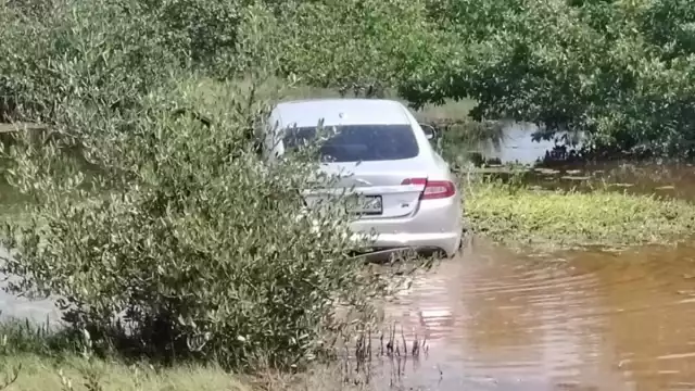 El conductor del auto deportivo perdió el control hasta caer a la ciénega