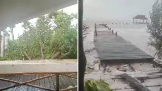 El Parque Nacional de Isla Contoy sufrió daños en su infraestructura por el huracán Helene