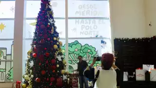 Los vuelos en Navidad desde Mérida a la CDMX son de mayor demanda