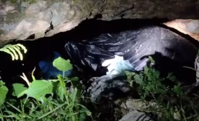 Hallan bolsa con un cadáver de perro dentro en San Antonio Tuk.