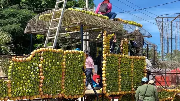 Dan los últimos toques en víspera de la inauguración de la celebración cítrica más esperada