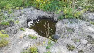 Sartenejas, ¿Qué son? y ¿Cómo las utilizaban los mayas? 