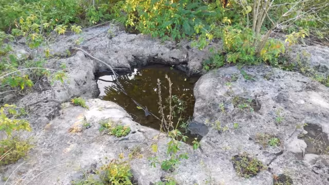 Las sartenejas o jaltún son huecos en el terreno que permiten almacenar el agua de lluvia