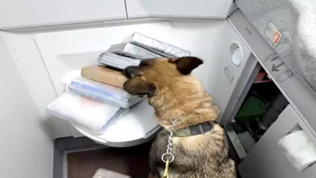 El operativo en la entidad fue implementado por el Gabinete de Seguridad a nivel federal; hubo detenciones, cateos, aseguramientos de armas de fuego y de drogas.