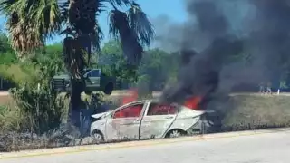 El vehículo salió de la carretera, chocó contra una palmera y estalló en llamas.