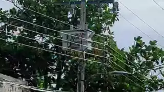 Vecinos de Escárcega llevan 3 días sin luz por transformador dañado: VIDEO
