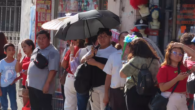 El 82.04 por ciento de las personas afectadas ha sido por golpe de calor, con una tasa de incidencia de 7.7, mientras que el 16.99 por ciento ha sido por deshidratación.