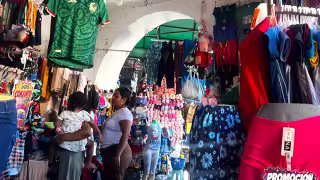 Mercado Viejo de Chetumal enfrenta riesgo sanitario por heces de palomas