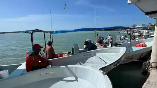 Cazadores furtivos depredan especies en la costa de Yucatán; temen que afecte a la temporada de pulpo