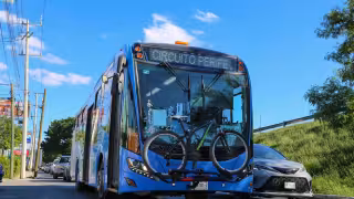 El Va y Ven ha sido destacado por visitantes de otros estados