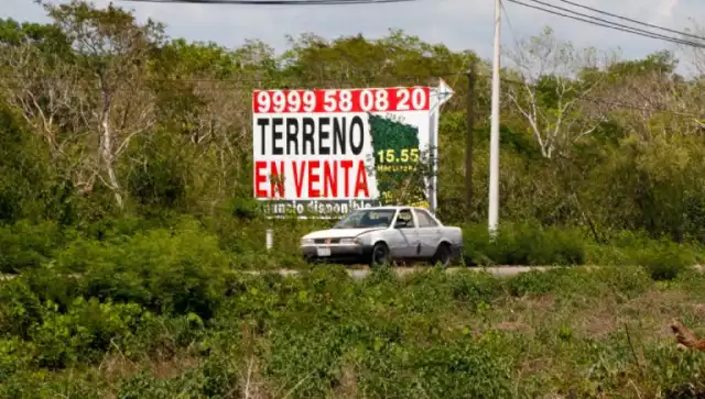 Hay diversos pros y contras sobre comprar terrenos al Norte de Yucatán