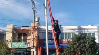 SSCM retira 19 cámaras de videovigilancia  ilegales en Playa del Carmen