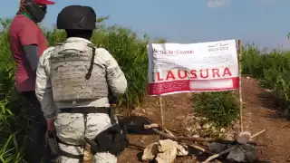 Obras sin estudios de impacto ambiental provocan clausuras en Campeche y Ciudad del Carmen