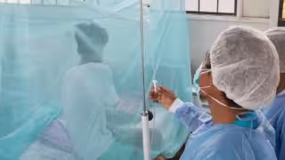 Tizimín se convierte en el cuarto municipio de Yucatán con dengue tras confirmarse un caso de la variante agresiva DENV-2.