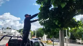 SSP refuerza seguridad vial con limpieza y liberación de señalética
