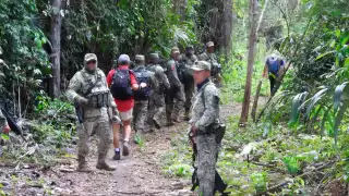 Exigen reforzar protección de la selva de Campeche ante deforestación de menonitas; Ejército debe cuidarla