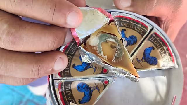 Queso para vender le salió podrido