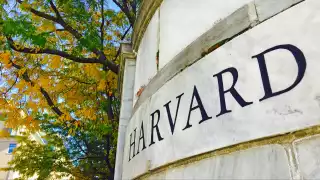 Harvard demanda al gobierno de Trump por congelar miles de millones en fondos