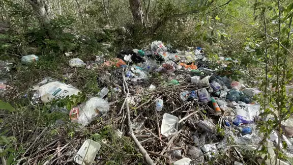 En las salidas de Dzemul se observan montones de basura que contaminan y dan mala imagen En las salidas de Dzemul se observan montones de basura que contaminan y dan mala imagen