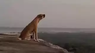 El momento, inmortalizado en la grabación, generó asombro entre los internautas