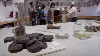 Yucatán, entre los 10 estados con mayores ventas de cacao y chocolate en México