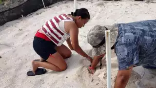  En Progreso piden proteger nidos de tortuga   