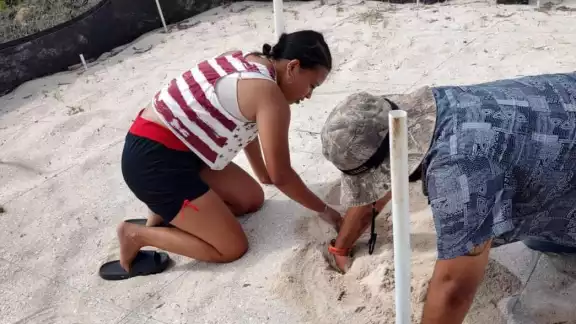 El Centro de Estudios Tecnológicos del Mar (Cetmar) 17, ubicado en este puerto, cuenta con un campamento para el cuidado de los huevos El Centro de Estudios Tecnológicos del Mar (Cetmar) 17, ubicado en este puerto, cuenta con un campamento para el cuidado de los huevos