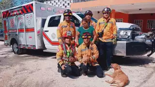 Bomberos de Playa del Carmen rescatan a cachorros  tras caer en un cenote  