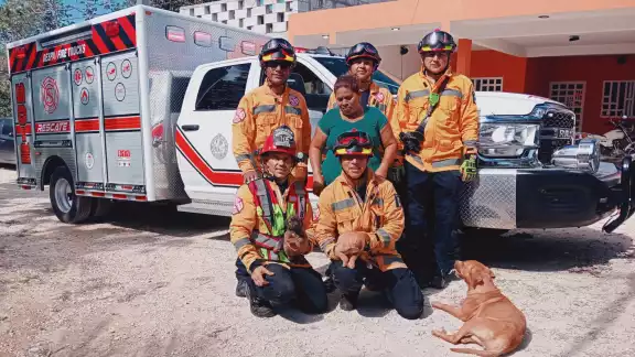 Pese al arduo labor del Cuerpo de Bomberos, solo se lograron rescatar dos de los cinco cachorros Pese al arduo labor del Cuerpo de Bomberos, solo se lograron rescatar dos de los cinco cachorros