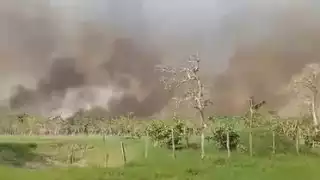 Nuevo incendio en Palizada alarma a pobladores de San Juan