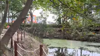 Supermercado con cenote: ¿En qué parte de Cancún se encuentra exactamente?